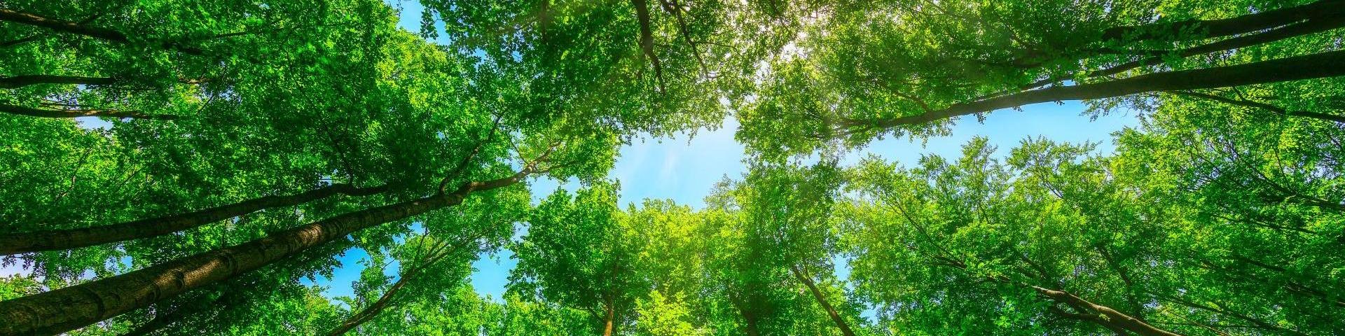 通栏图片